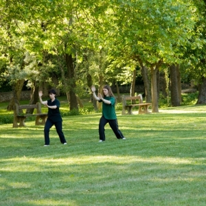 tai_chi_training_france_20100122_2072957740.jpg